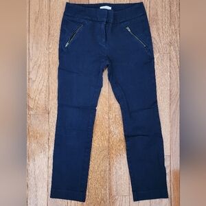 LOFT Navy Ankle Pants